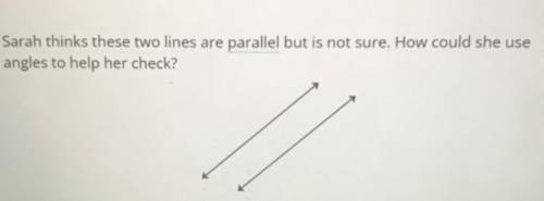 Sarah thinks these two lines are parallel but is not sure. How could she use angles to help her che