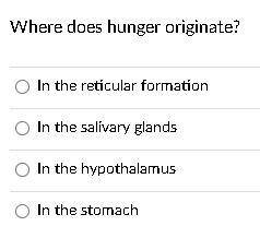 Where does hunger originate?