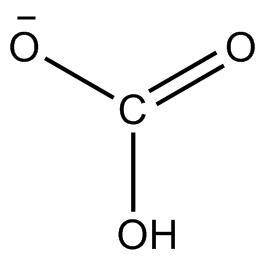 Which carries most of the carbon dioxide back to the lungs?

O bicarbonate ions
O plasma
O hormones