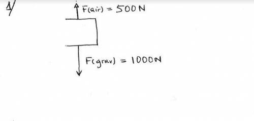 calculate the magnetude of the net force F(net) in each of these and draw a diagram indicating the