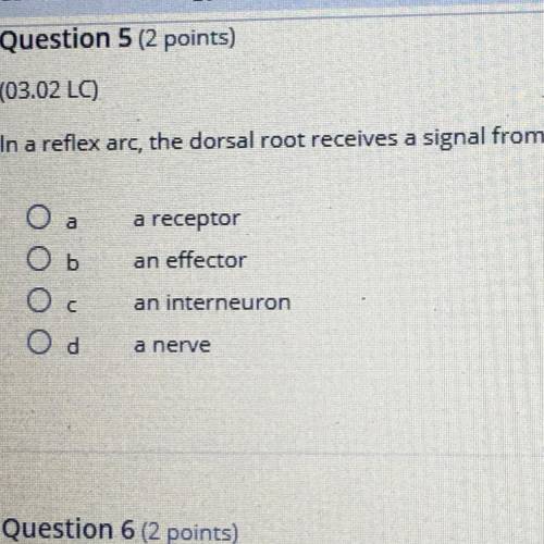 In a reflex arc, the dorsal root receives a signal from …