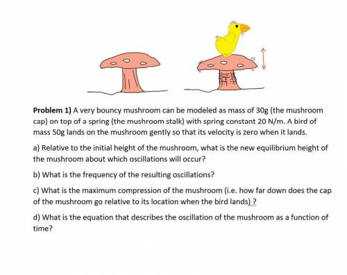 A very bouncy mushroom can be modeled as mass of 30g(the mushroom cap) on top of a spring(the mushr