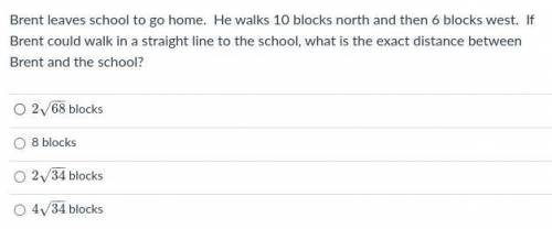 Brent leaves school to go home. He walks 10 blocks north and then 6 blocks west. If Brent could wal