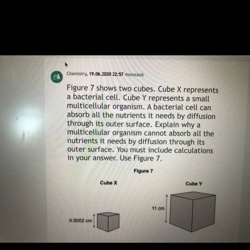 Figure 7 shows two cubes. Cube X represents

a bacterial cell. Cube Y represents a small
multicell