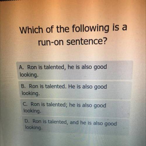 Which of the following is a run on sentence