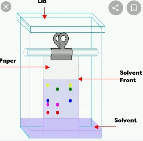 The diagram of paper chromatography