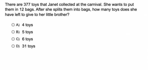 There are 377 toys that Janet collected at the carnival. She wants to put them in 12 bags. After sh