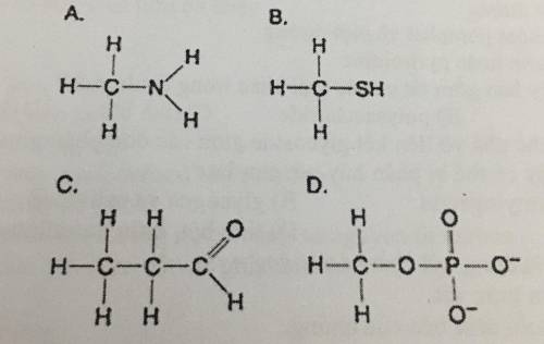 Use the picture below to answer questions 1 – 2.

1) Which molecule contains a functional group th