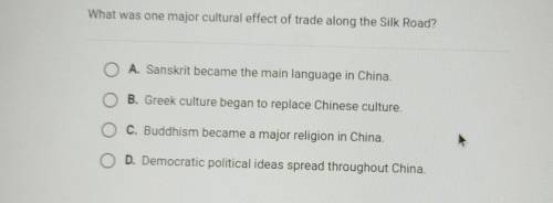 What was one major cultural effect of trade along the Silk Road? O A. Sanskrit became the main lang