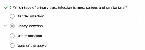 Which type of urinary tract infection is most serious and can be fatal?