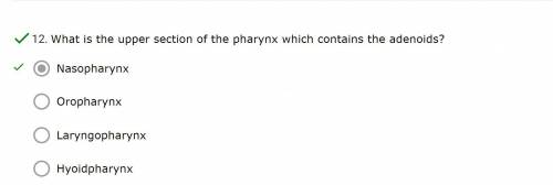 What is the upper section of the pharynx which contains the adenoids?