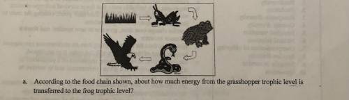 According to the food chain shown, about how much energy from the grasshopper trophic level is tran