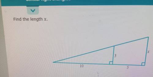 Help plzzFind the length of X