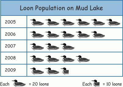 What was the difference in population between the highest year and the lowest year?
loons