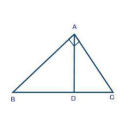 Which similarity statements would be true for the figure. Choose all that apply.

a. ∆ ABD~∆ CBA
b