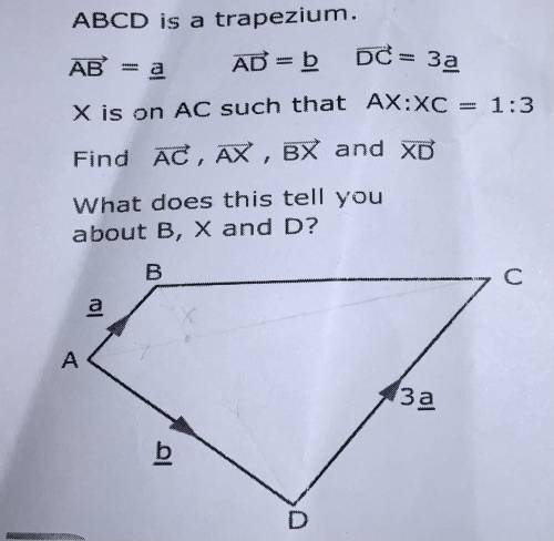 What would AC, AX, BX and XD be? What does this tell you about B, X and D
