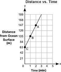 (NO LINKS) The graph shows the depth, y, in meters, of a shark from the surface of an ocean for a c