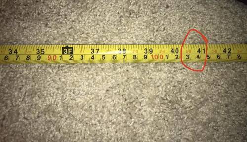 HELP ASAP!!! What is the measurement of where it says 41? I’m not sure if it’s in Feet or meters