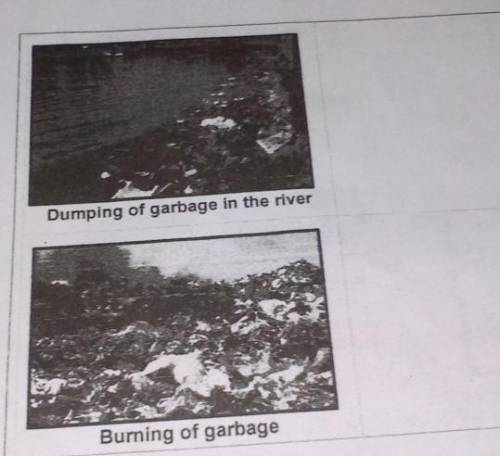 What is its effect to the environment

help me with this:<1.dumping of garbage in the river2. b