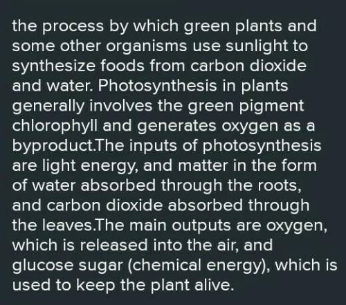 What is Photosynthesis? EXPLAIN! xD-,-