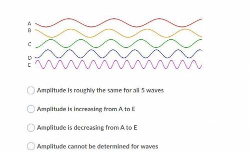 Compare the amplitude of these waves.