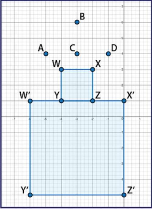 Geometry

Square WXYZ was dilated by a scale factor of 3 to create square W'X'Y'Z'. Which point is