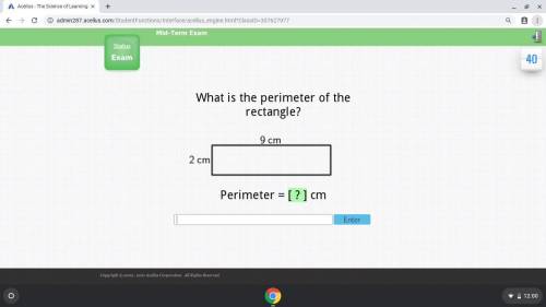 What is the perimeter of the rectangle 9cm 2cm