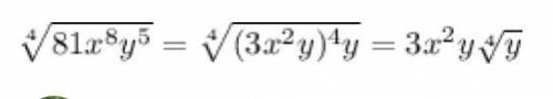 What is the simplest form of 4 sqrt 81 x^8y^5.