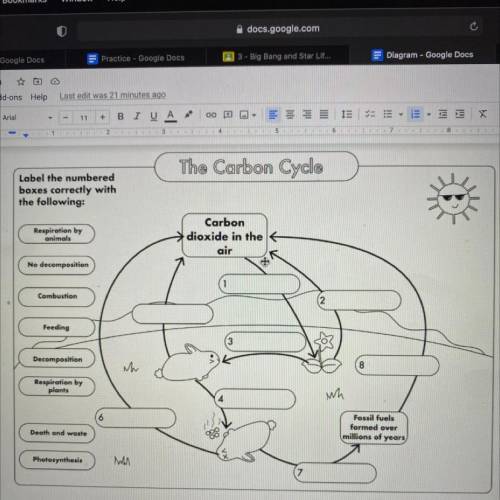 The carbon cycle diagram