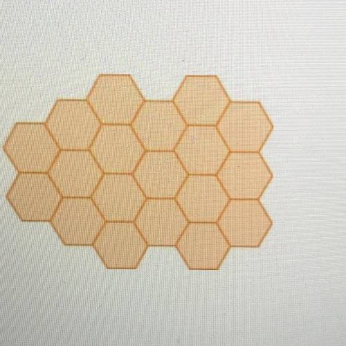 Which name is a correct way to name the tiling?