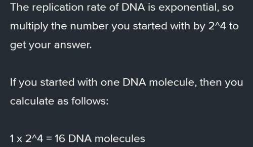 How many molecules of dna would result from one molecule after five cycles of prc
