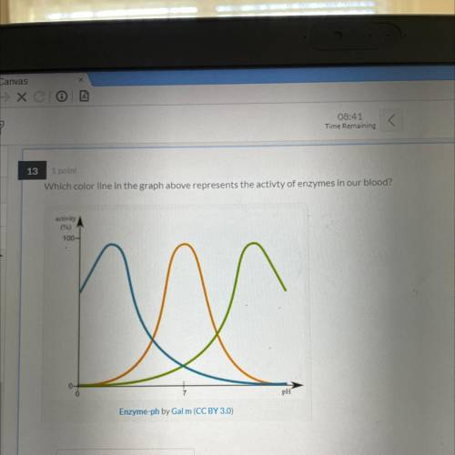 Which color line in the graph represents the activity of enzymes in our blood?