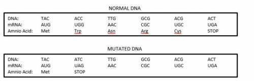 The diagram displays a box of normal DNA. The second box displays mutated DNA. Compare the mutated
