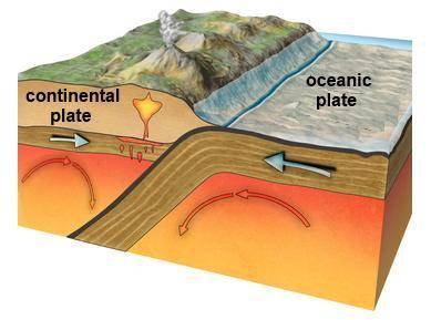 The image below models the activity that occurs between two tectonic plates

What does the model d