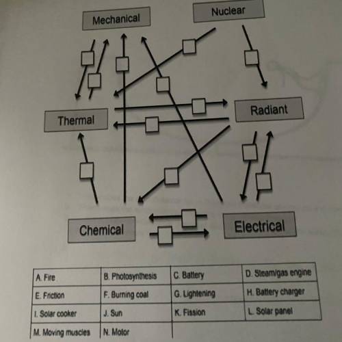 Label the boxes in the diagram using the choices from the table below. There can only be one answer