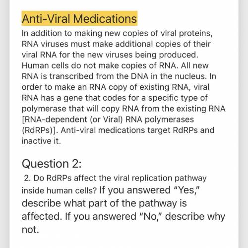 Do RdRPs affect the viral replication pathway inside human cells?