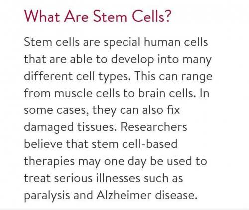 What is a stem cell?

A cell in the brainstem of an animal
A cell in the stem of a plant
A cell tha