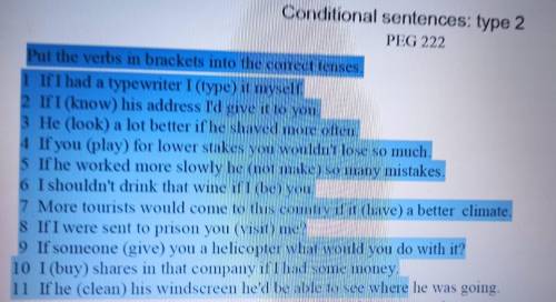 Conditional sentences :type 2 Peg 222Please help me