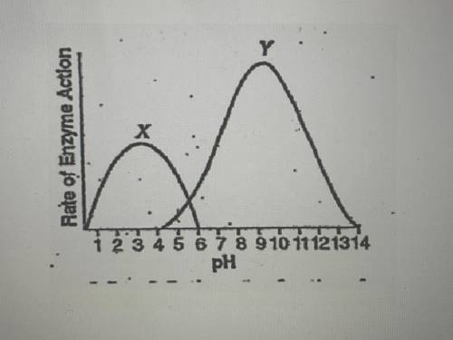 Please help me !

What is the minimum and maximum pH in which Enzyme Y will work?
What is the opti
