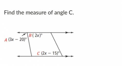 Find the measure of angle C.