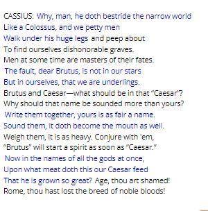 Select the correct text in the passage.

Read the excerpt from Julius Caesar by William Shakespear