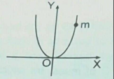 A bread of mass m is located on a parabolic wire with its axis vertical and vertex directed toward