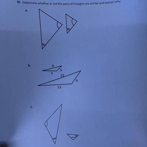 Determine whether or not the pairs of triangles are similar and explain why.