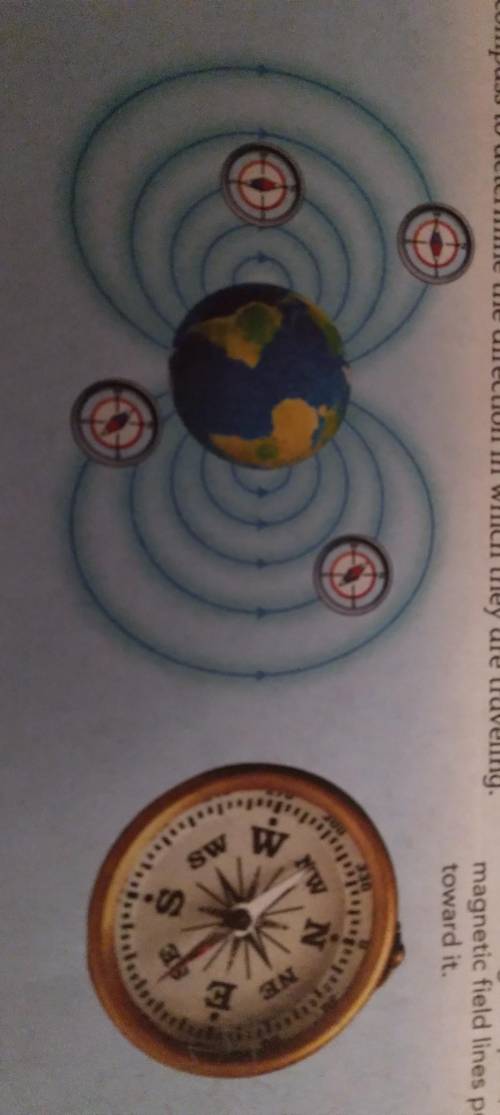 Where is earth's magnetic north pole?