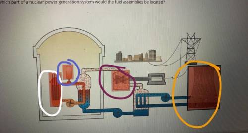 In which part of a nuclear power generation system would the fuel assemblies be located ?

HELPPP