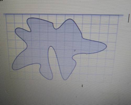 Estimate the area of the following irregular shapes