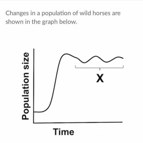 Changes in a population of wild horses are shown in the graph below