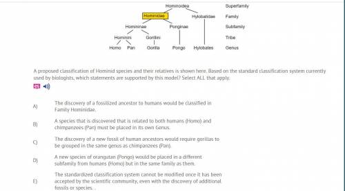 A proposed classification of Hominid species and their relatives is shown here. Based on the standa