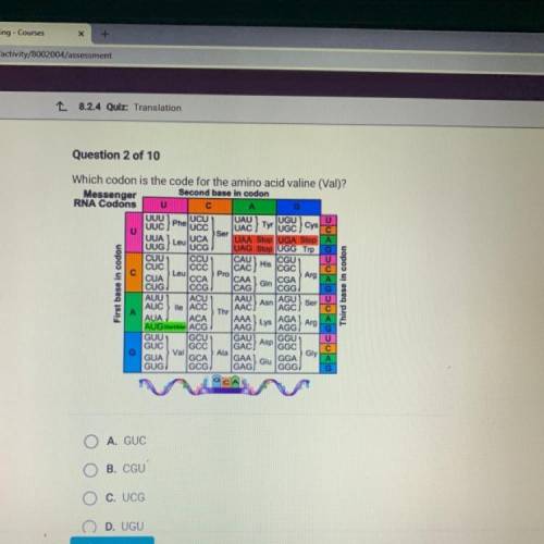 Which codon is the code for the amino acid valine (Val)?