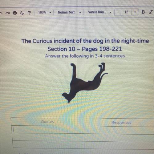 The curious incident of the dog in the night time section 10 quotes